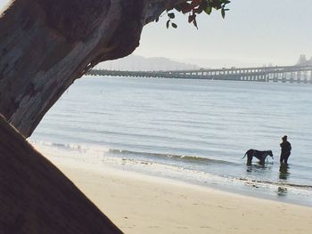 Man and dog on beach against sky