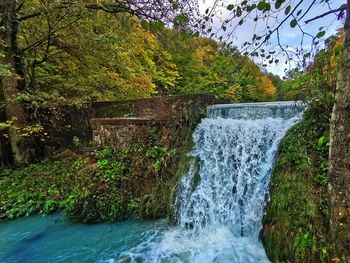 Scenic view of waterfall in forest