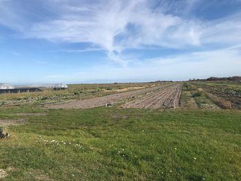 Scenic view of field against sky