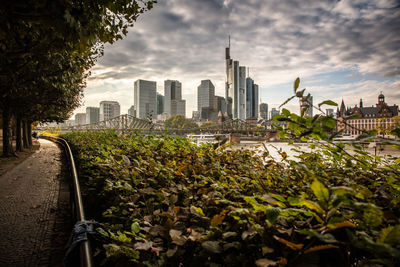 Buildings in city