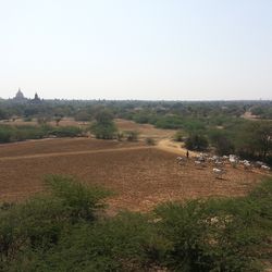 Scenic view of landscape against clear sky