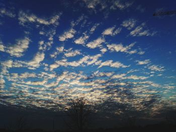 Low angle view of tree against sky