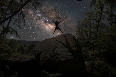 Low angle view of silhouette trees against sky at night
