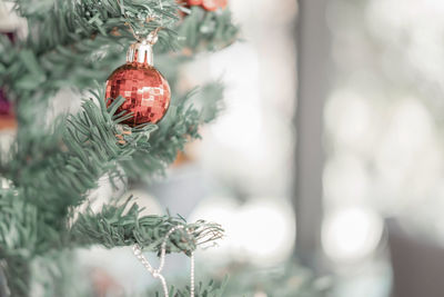 Close-up of christmas decorations hanging on tree