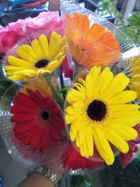 Close-up of multi colored flower bouquet