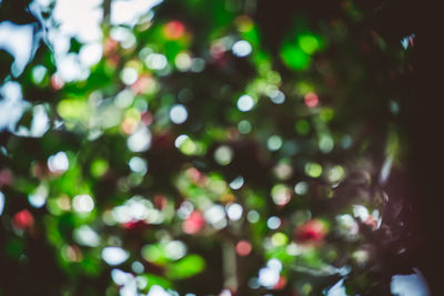 Defocused image of illuminated lights at night