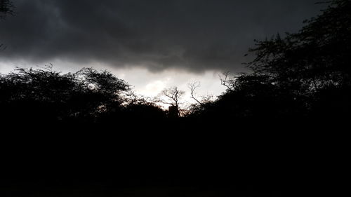 Low angle view of silhouette trees against sky