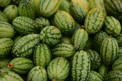 Full frame shot of mini cucumbers