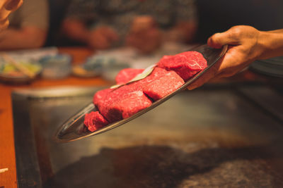 Cropped hand holding meat plate