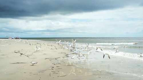 Scenic view of sea against cloudy sky