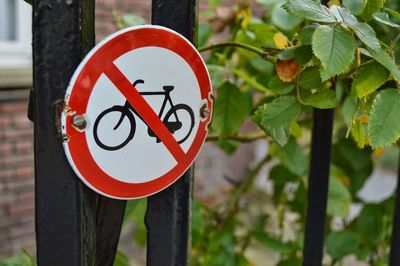 Close-up of road sign