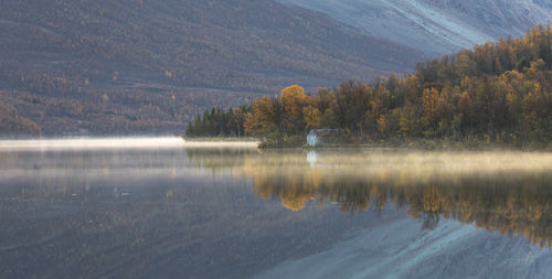 Scenic view of lake in forest