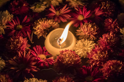 Close-up of burning candle amidst flowers