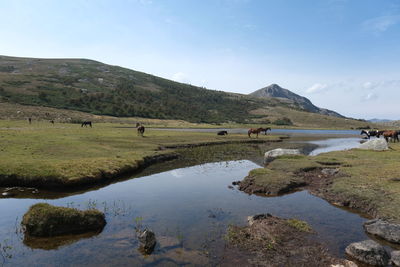 Scenic view of landscape and lake against sky