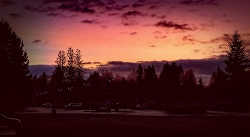 Silhouette of trees against cloudy sky