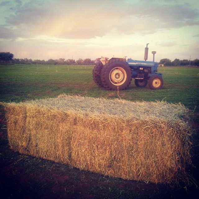 field, rural scene, agriculture, sky, transportation, landscape, land vehicle, mode of transport, grass, farm, cloud - sky, tractor, car, grassy, cloud, agricultural machinery, sunset, hay, bale, outdoors