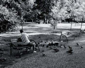 Empty bench in park