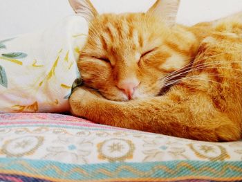 Close-up of ginger cat sleeping on bed at home