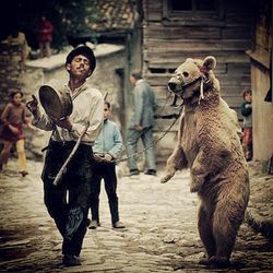 animal themes