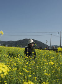 Scenic view of oilseed rape field against clear sky