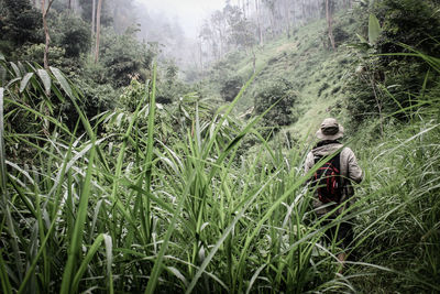 Man in forest