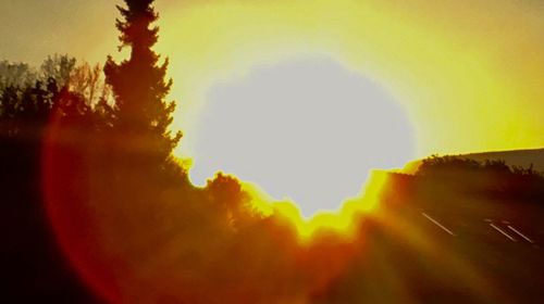 Close-up of silhouette trees against sky during sunset