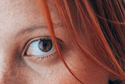 Close-up portrait of woman eye