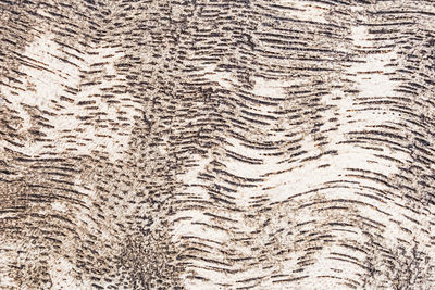 Full frame shot of wood