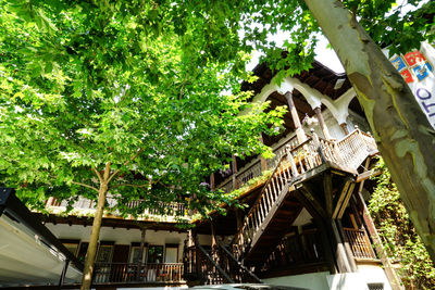 Low angle view of trees and house by building