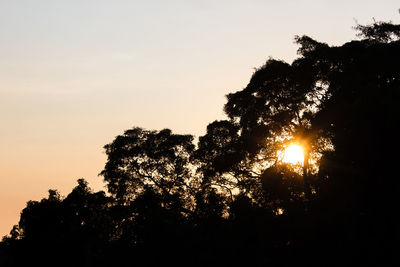 Low angle view of silhouette trees against sky during sunset