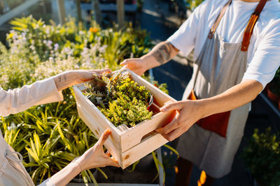 Gardener selling a box of plants to customer. e-commerce, online order concept.