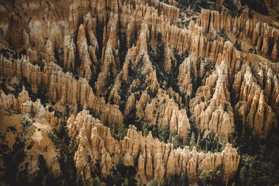 Detail of bryce canyon from bryce point