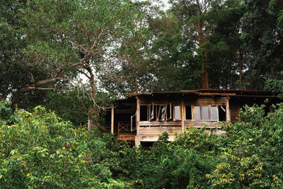 Old abandoned wooden house in rainforest