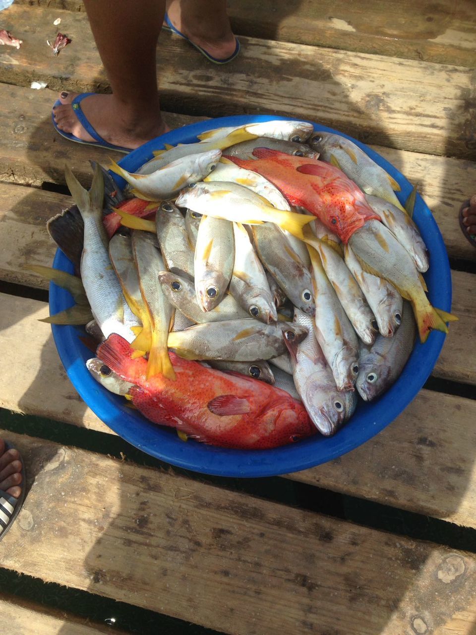 CLOSE-UP OF MAN FISH WITH MEAT