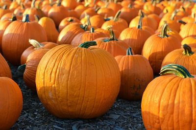 Pumpkins for sale at market stall