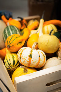 Close-up of pumpkins in crate