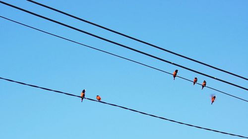 Low angle view of birds perching on cable