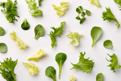 High angle view of food on table