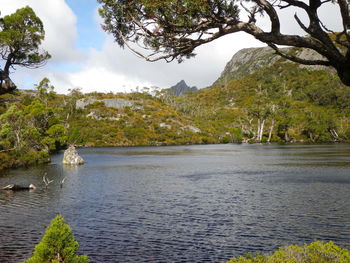 Scenic view of lake against trees