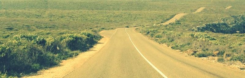 Empty road along trees