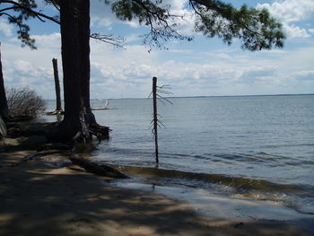 Scenic view of sea against sky