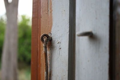 Close-up of insect on door