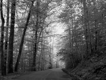 Kanawha state forest, kanawha county, west virginia