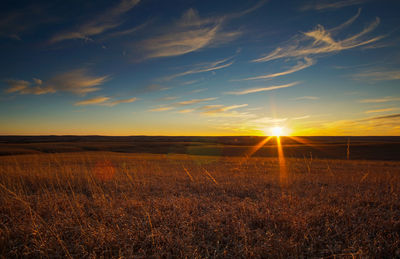 Scenic view of field against sky during sunset