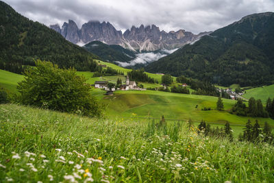 Scenic view of field against mountains