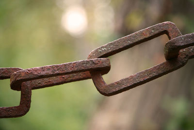 Close-up of rusty metallic chain