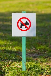 Close-up of road sign on field