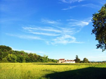 Trees on grassy field against cloudy sky