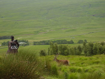 Highlands scotland 