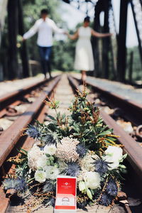View of potted plants